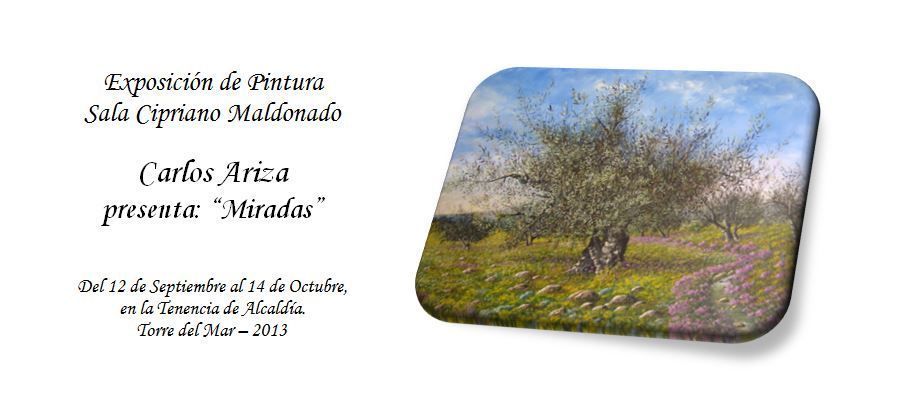 Lee más sobre el artículo Exposición de Pintura «Miradas» 2013.