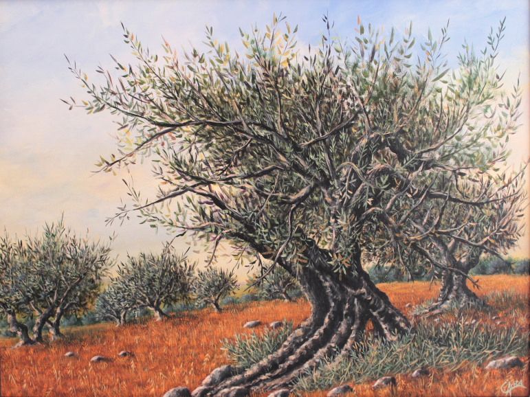 Exposición "Pensamientos" 2014. Hospital Comarcal de la Axarquía