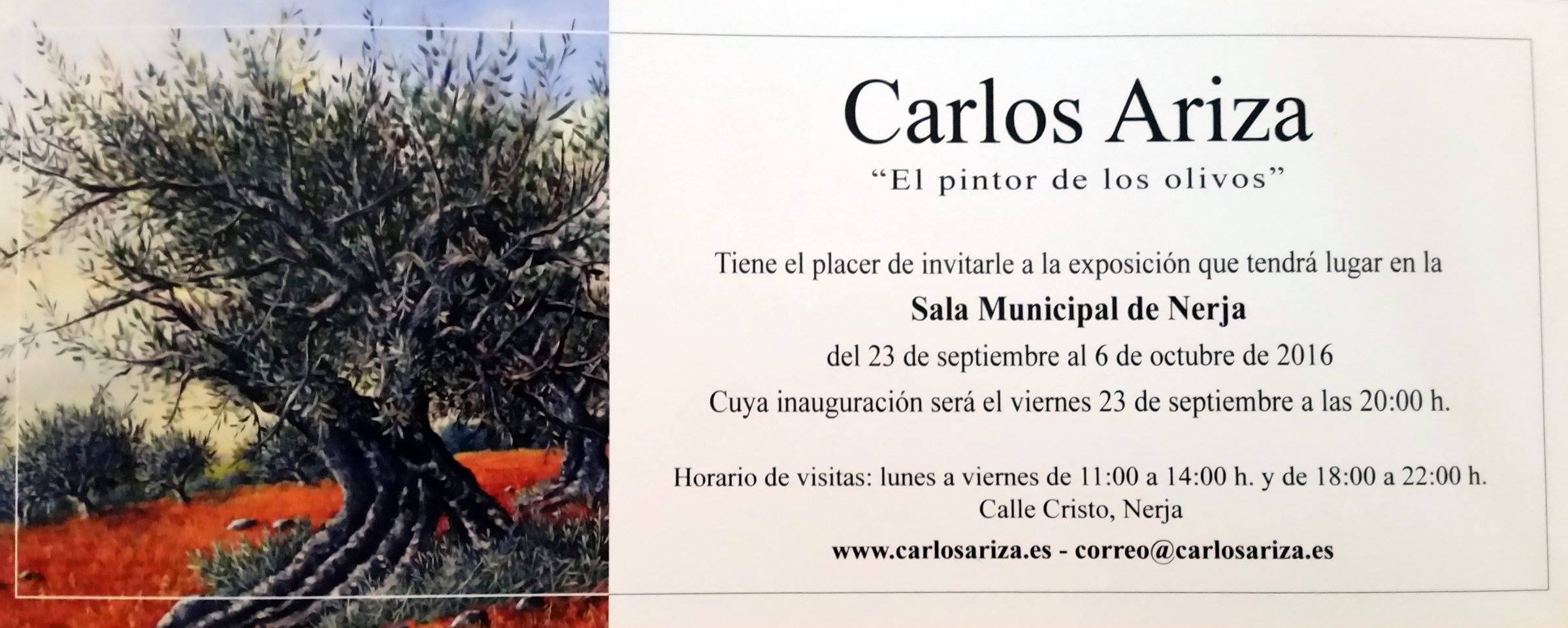 Lee más sobre el artículo Exposición de Pintura «Vida», Nerja 2016