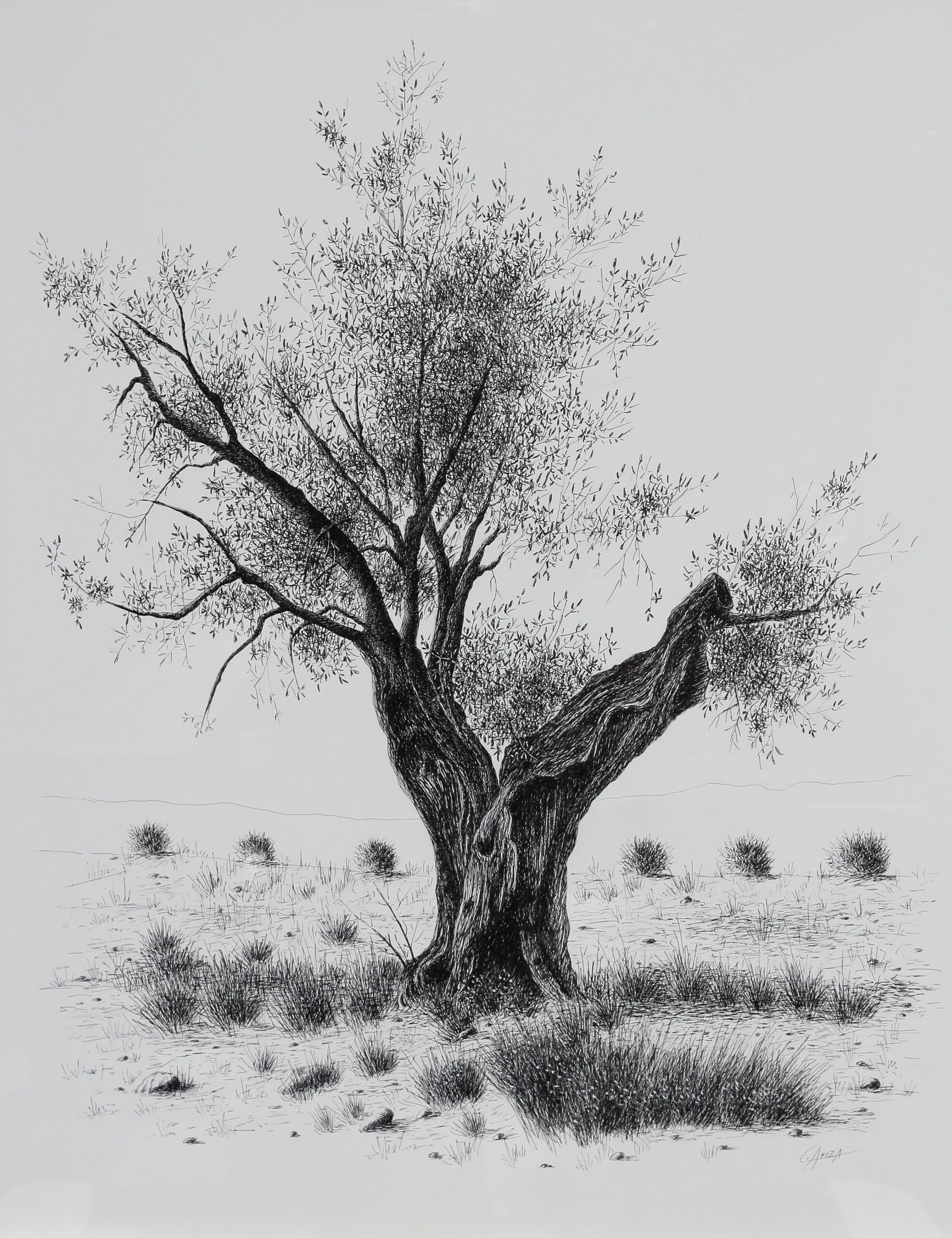 17.-Entre malezas, (dibujo a tinta sobre papel caballo 85x65)-2016