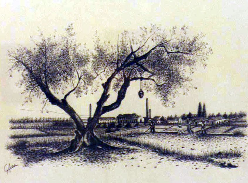 Azucarera (Tinta 60 x 50cm.)