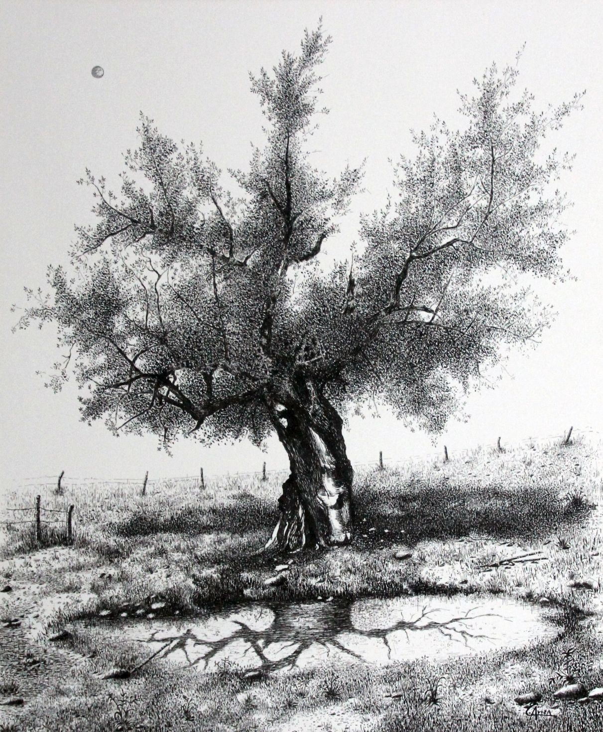 _plumilla_antologia_1_El charco, (tinta 62x50cm)._1989 (2)