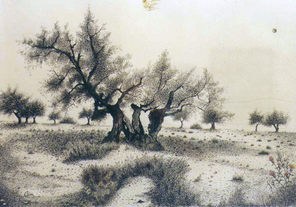 _plumilla_antologia_5_ El olivar, (tinta 70x45 cm)_1995 (2)