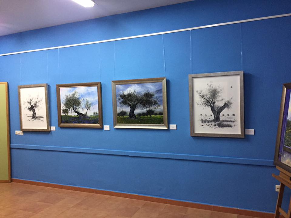 Exposición Homenaje IES Salvador Rueda Vélez-Málaga 13-02-2017-5